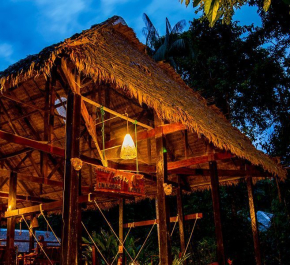 Peru Amazon Rainforest Tour - POSADA AMAZONAS LODGE