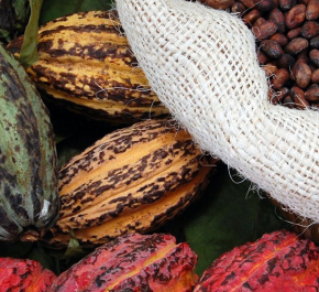 Best of Mainland Ecuador Tour