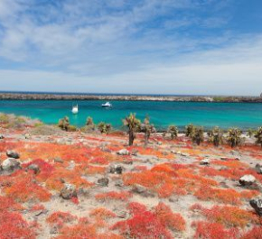 Galapagos, Peru, Bolivia Tour