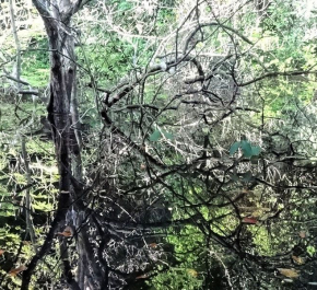 Brazil Amazon River Cruise - IBEROSTAR GRAND AMAZON - 4 Nights