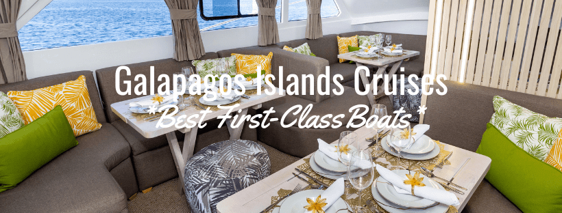 Galapagos Best First Class min