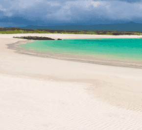 Brazil, Galapagos Islands Tour