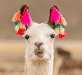 Argentina, Chile, Peru Tour