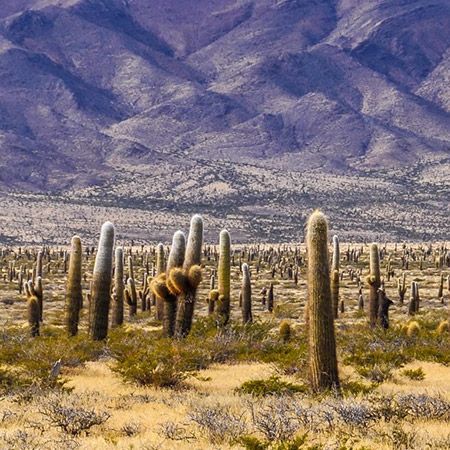 Travel in Argentina