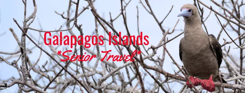 Senior Galapagos min