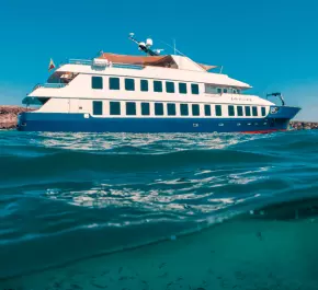 Origin, Theory, Evolve