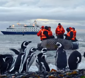 Punta Arenas to Cape Horn