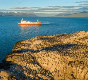 Northern Ice Field Cruise
