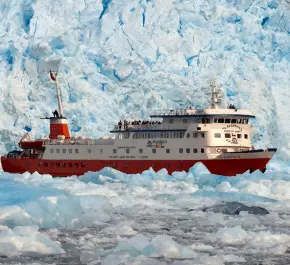 Southern Ice Field Cruise