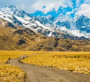 Tuni Condoriri National Park Tour